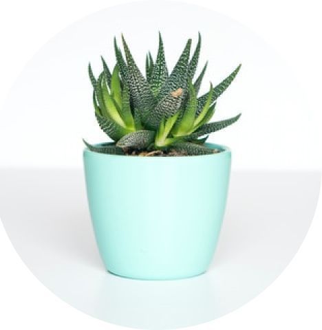 Explore os anúncios